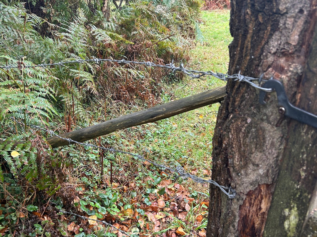 Felbrigg Hall-诺威奇必去景点