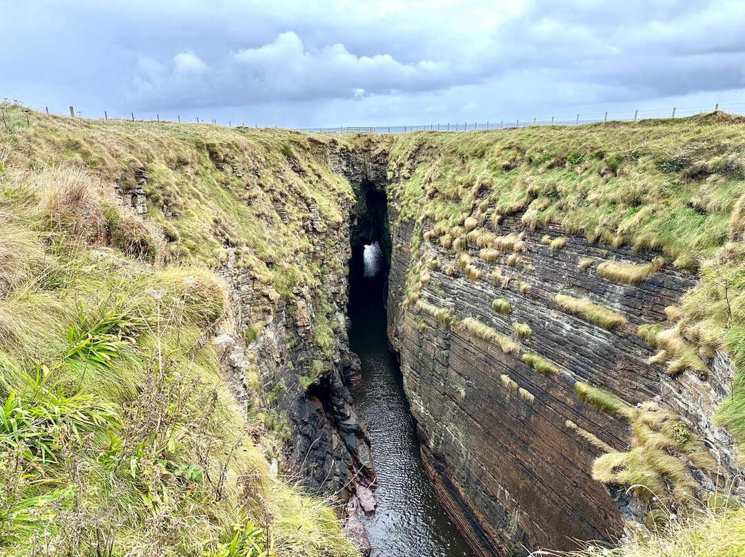 Mull Head Nature Reserve-Deerness必去景点