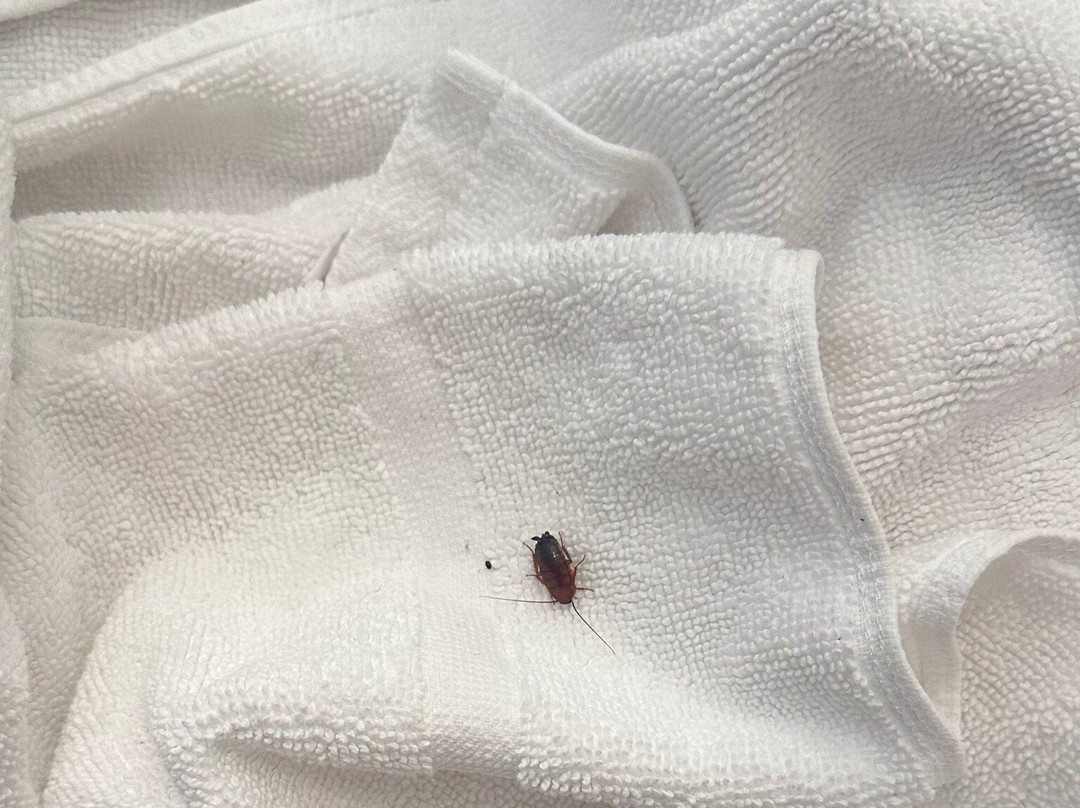 Tru by Hilton Radford主图