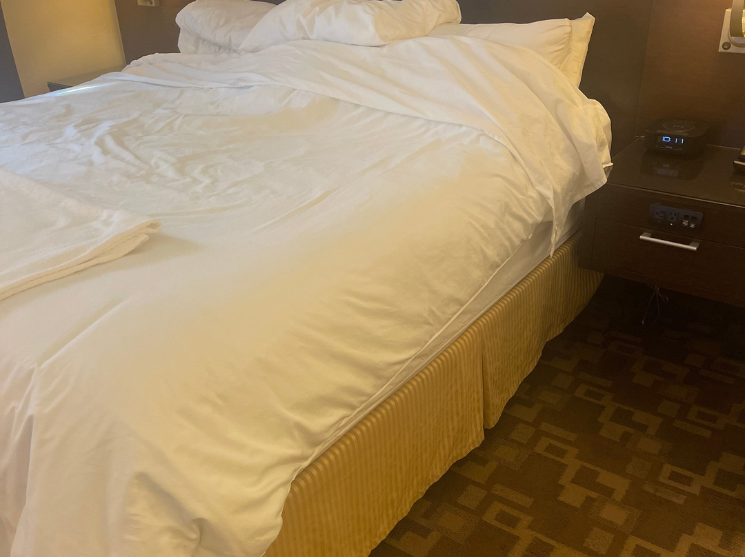 Radisson Hotel & Conference Center Rockford主图