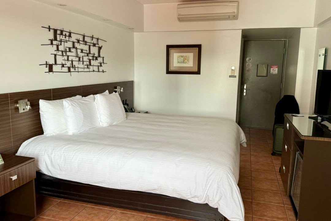 Hotel Presidente主图