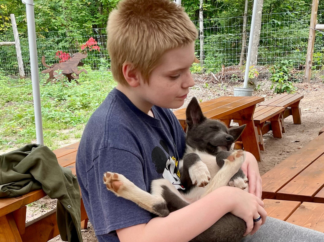 MIDOG - Michigan's Summer Sled Dog Center