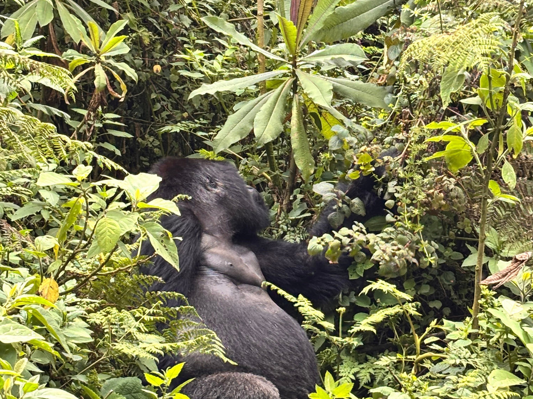 Kingfisher Journeys-吉佳利必去景点