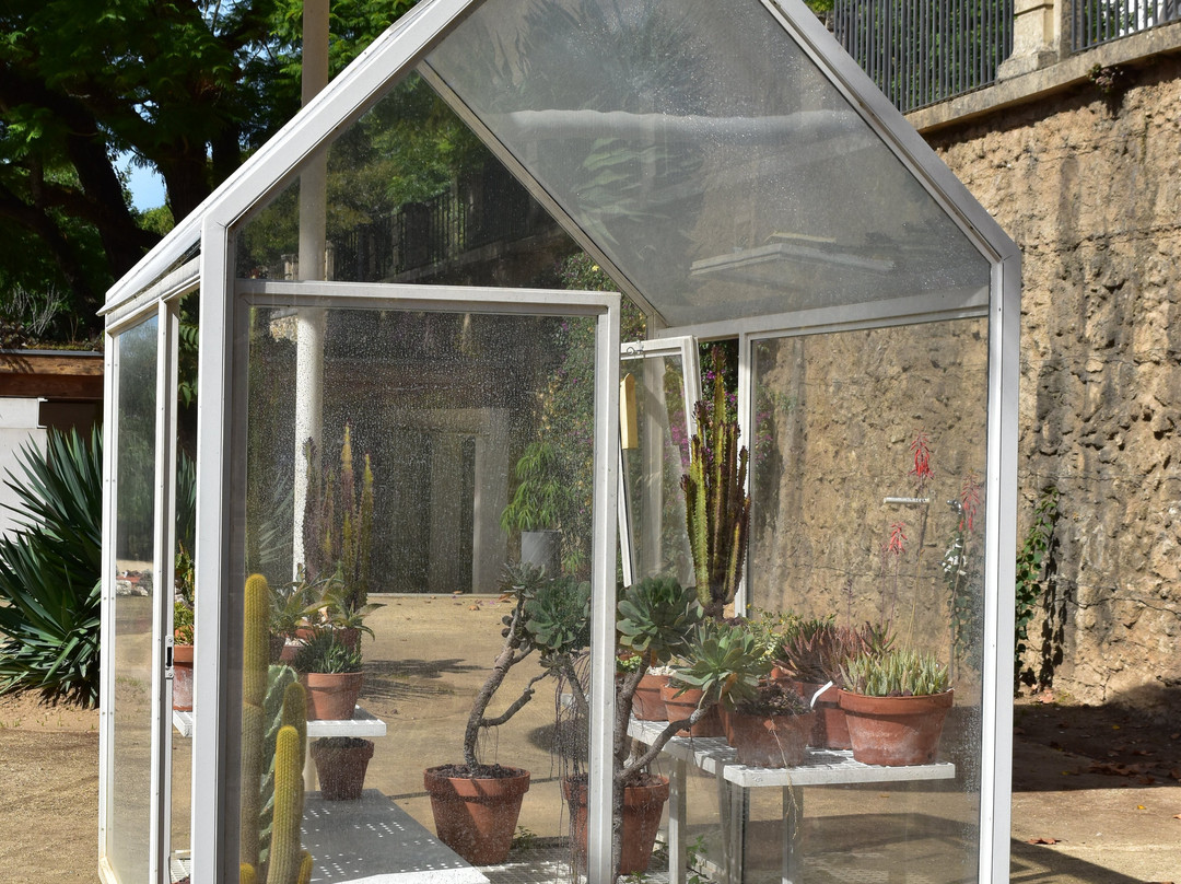 Jardim Botanico-科英布拉区必去景点