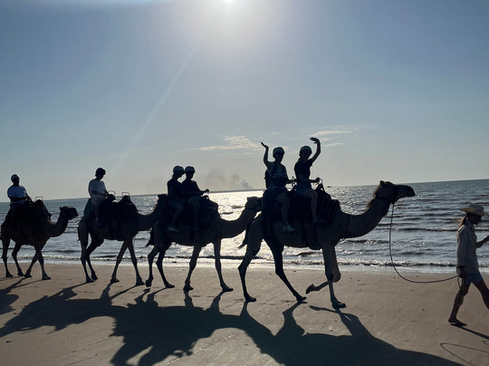 Darwin Camel Rides-达尔文市必去景点