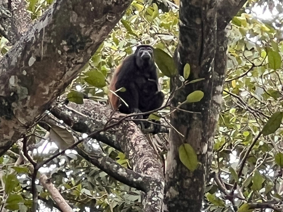 Conchal Adventures Costa Rica-孔查沙滩必去景点