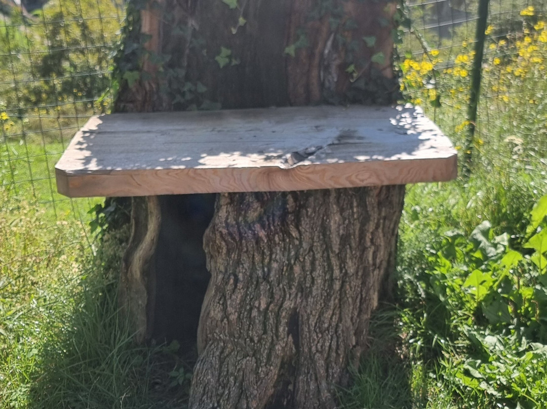 Parco Delle Incisioni Rupestri di Grosio e Grosotto-Grosio必去景点