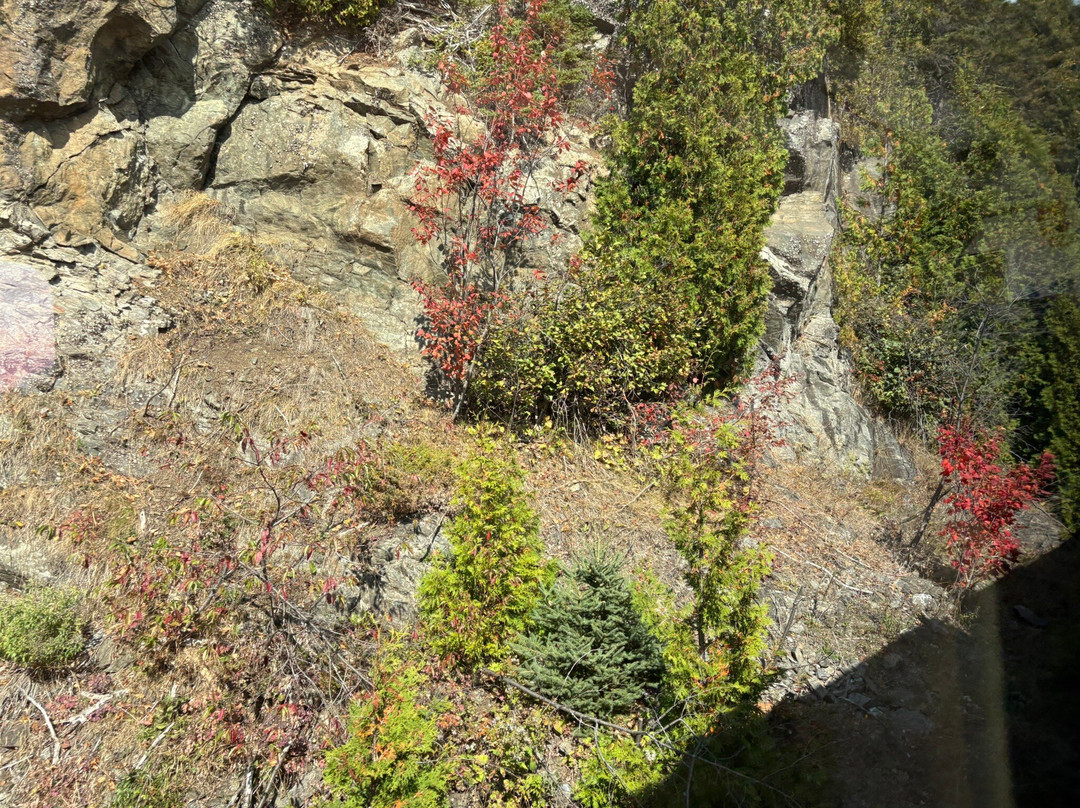 Train de Charlevoix-Baie-St-Paul必去景点