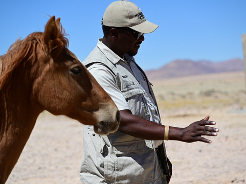 Nature Africa Safaris Namibia-温德和克必去景点