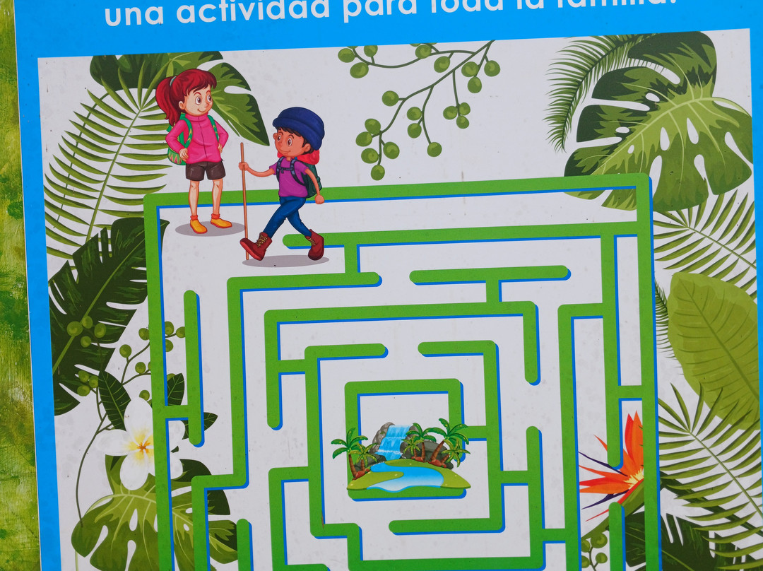 Laberinto de Bambu-明多必去景点