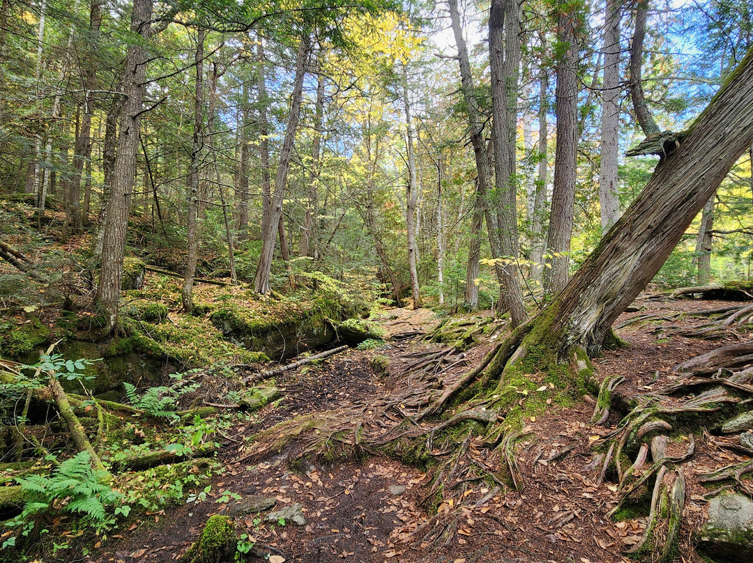 South Algonquin Trails-Harcourt必去景点