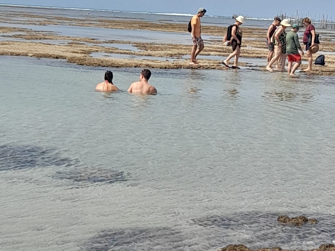 Farol da Ponta Verde-Maceio必去景点