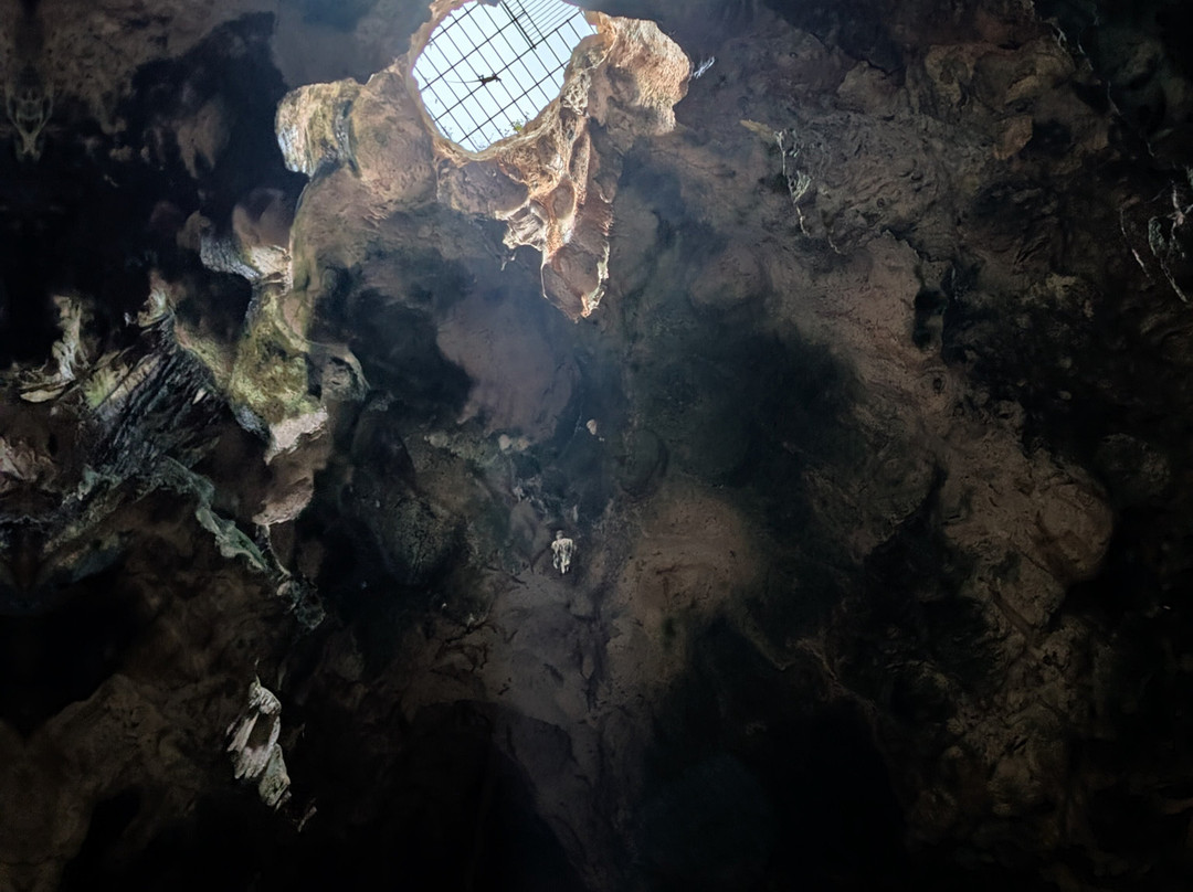 Hato Caves-威廉斯塔德必去景点