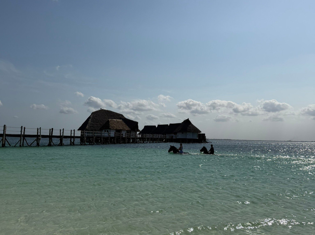 Royal Stable Zanzibar-米查维必去景点