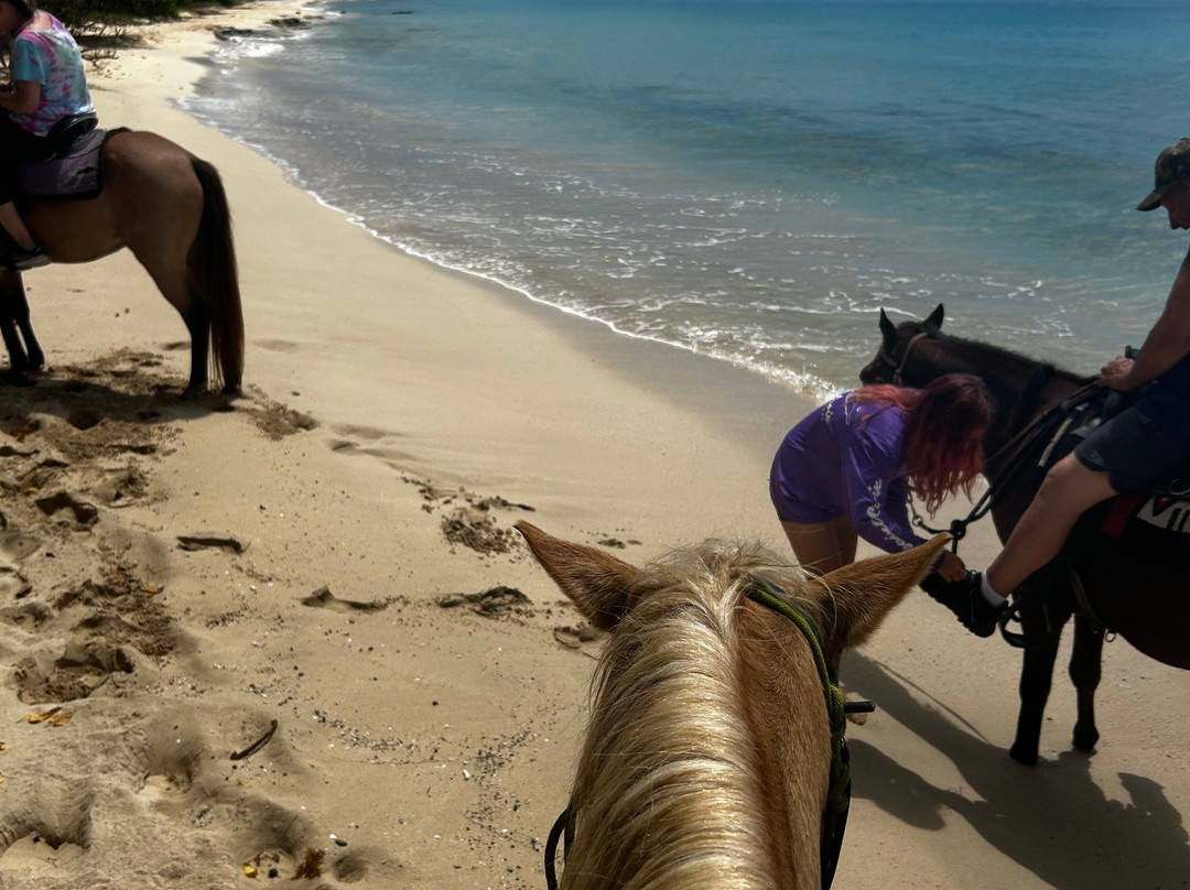 Cruzan Cowgirls-Frederiksted必去景点