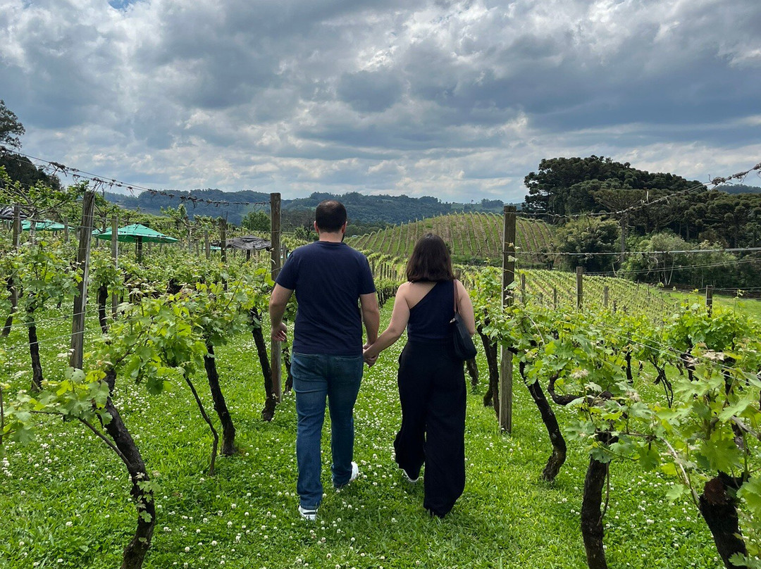 Vinhos Larentis-本图贡萨尔维斯必去景点