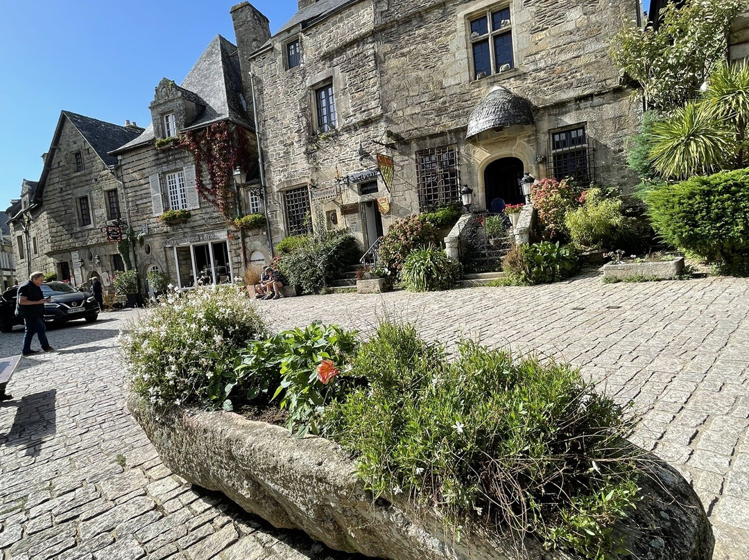 Château de Rochefort-en-Terre-莲蓬头必去景点