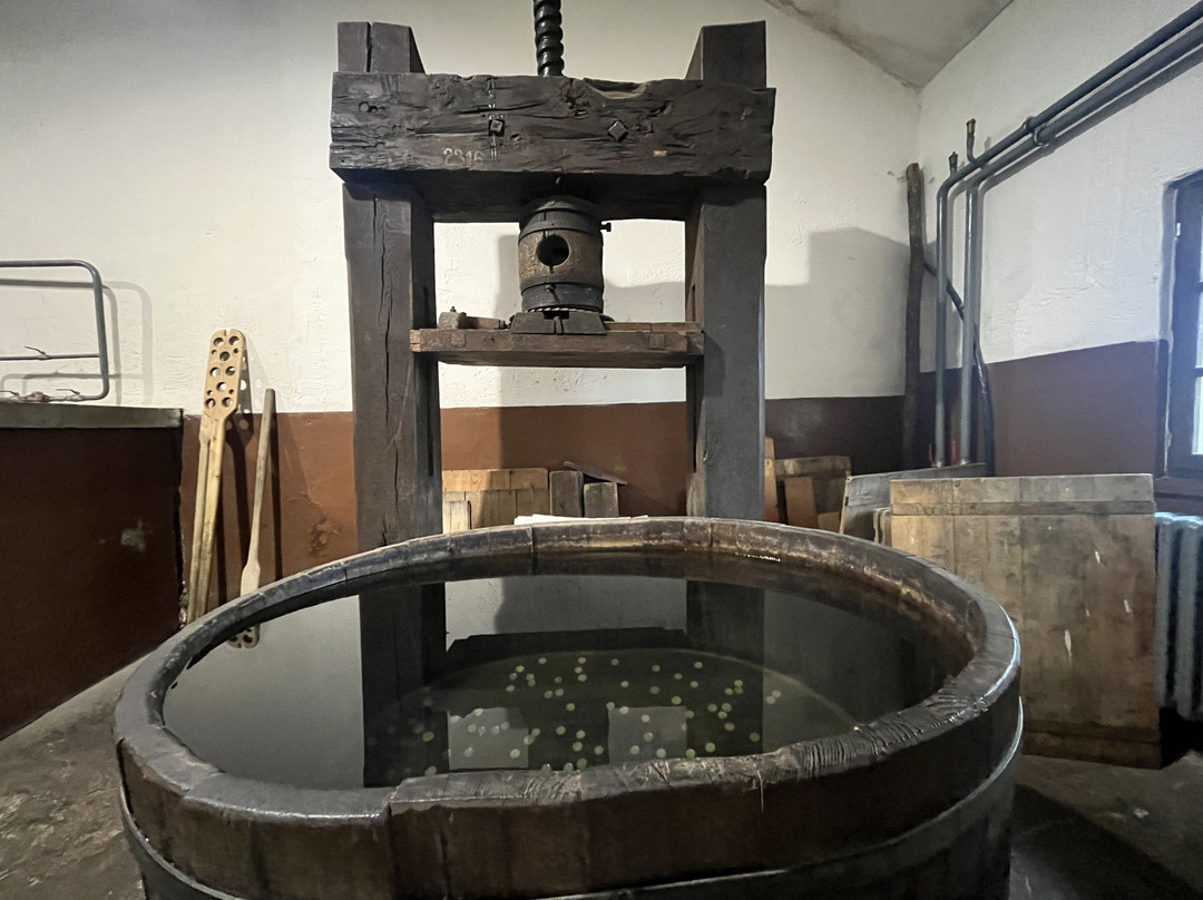 Handmade Paper Mill Velke Losiny-Velke Losiny必去景点