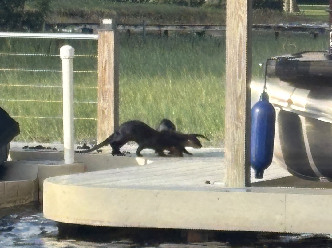 The Living Water Boat Cruises-温特黑文必去景点