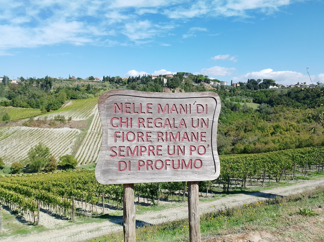 Azienda Agricola Castelvecchio-Terricciola必去景点