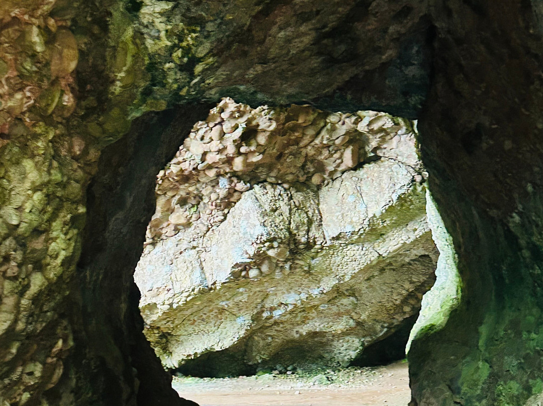Milliken Tours-Larne必去景点