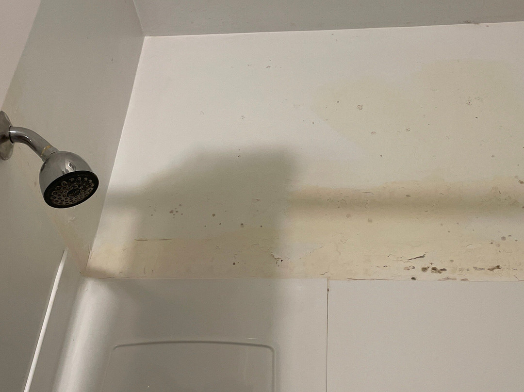 The Budget Inn Express主图