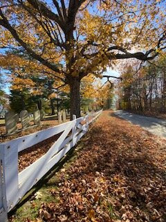 Peacham Corner Cemetery-Peacham必去景点