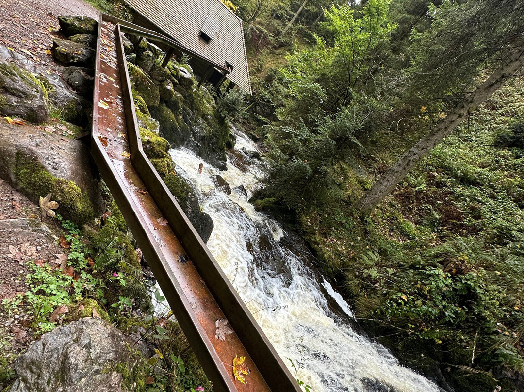 Ravennaschlucht-Breitnau必去景点