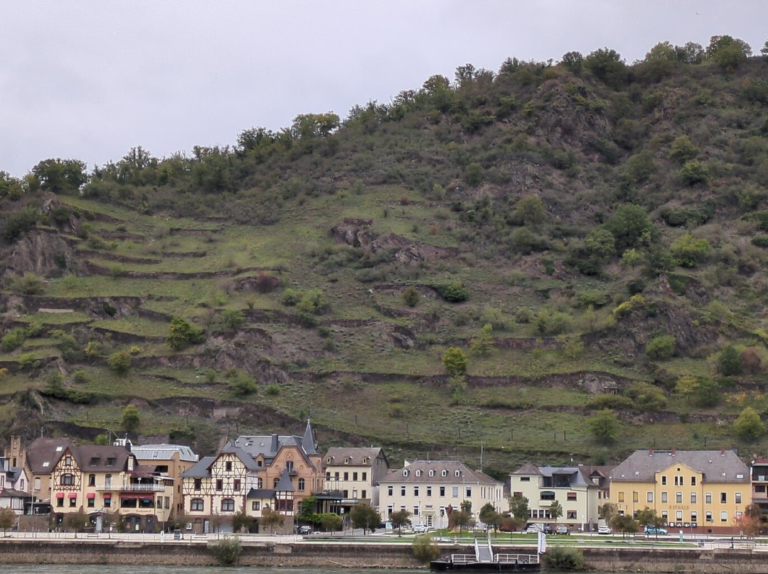 Hotel Loreleyblick主图