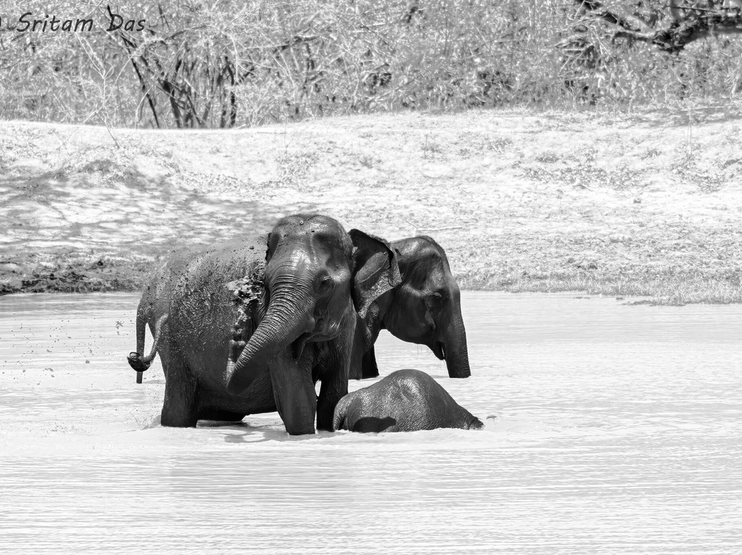 Menaka Safari-蒂瑟默哈拉默必去景点