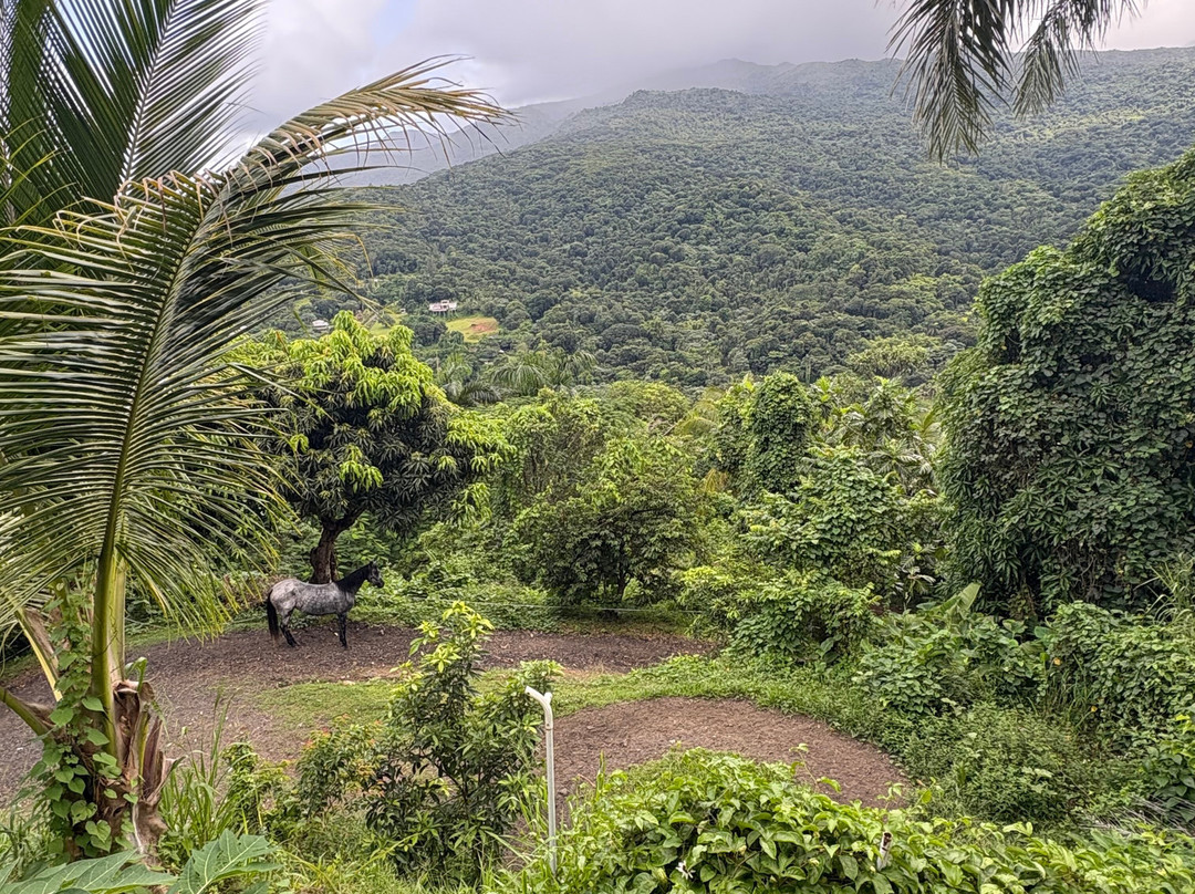 La Vista Rides-Rio Grande必去景点