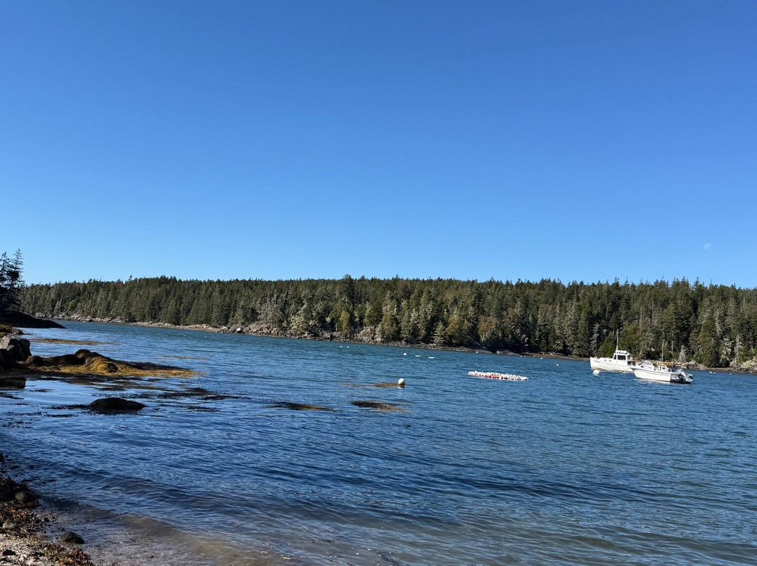 Isle au Haut Boat Services-Stonington必去景点