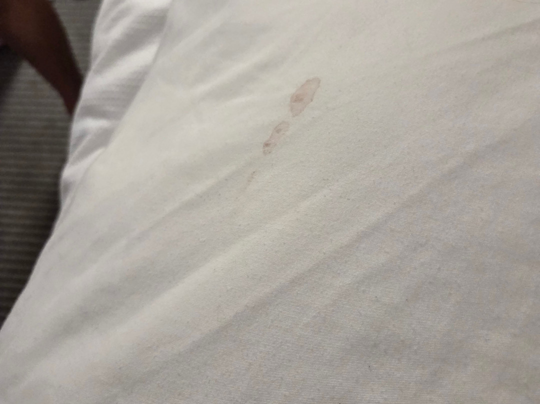 Hyatt Place Melbourne / Palm Bay / I-95主图