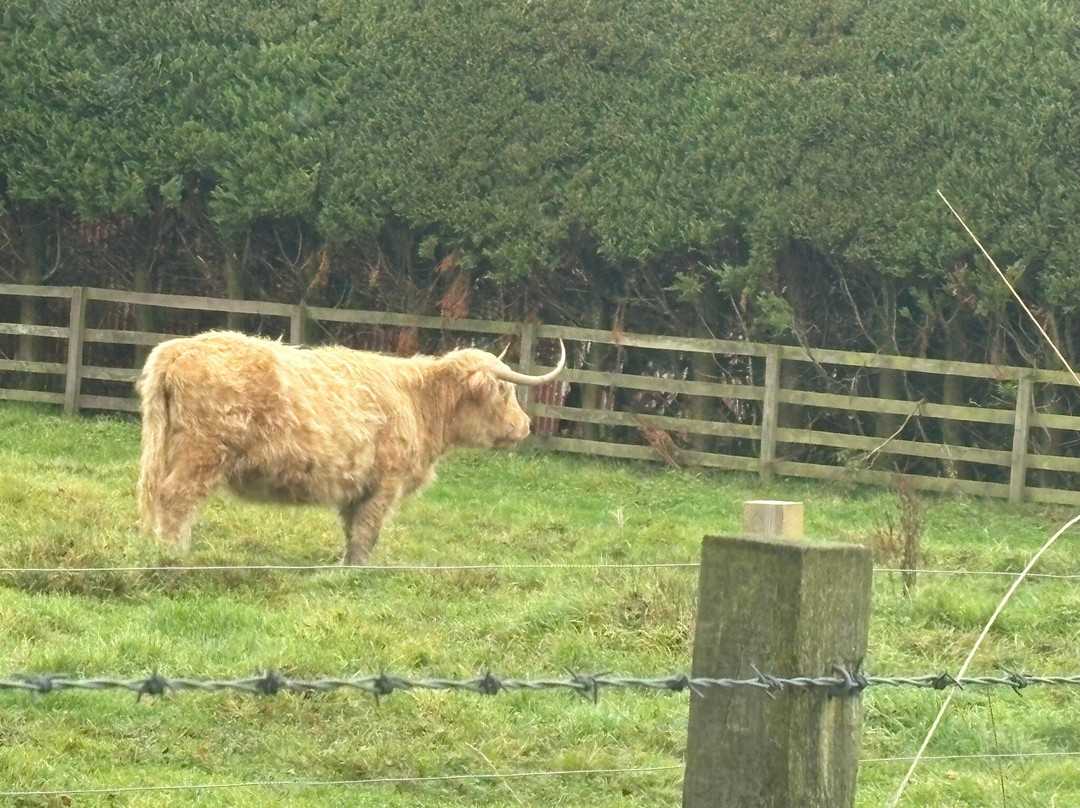 Craigbank Farm