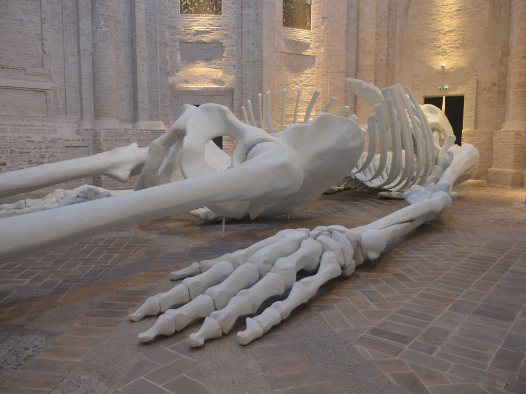 Calamita Cosmica - Centro Italiano Arte Contemporanea-福利尼奥必去景点