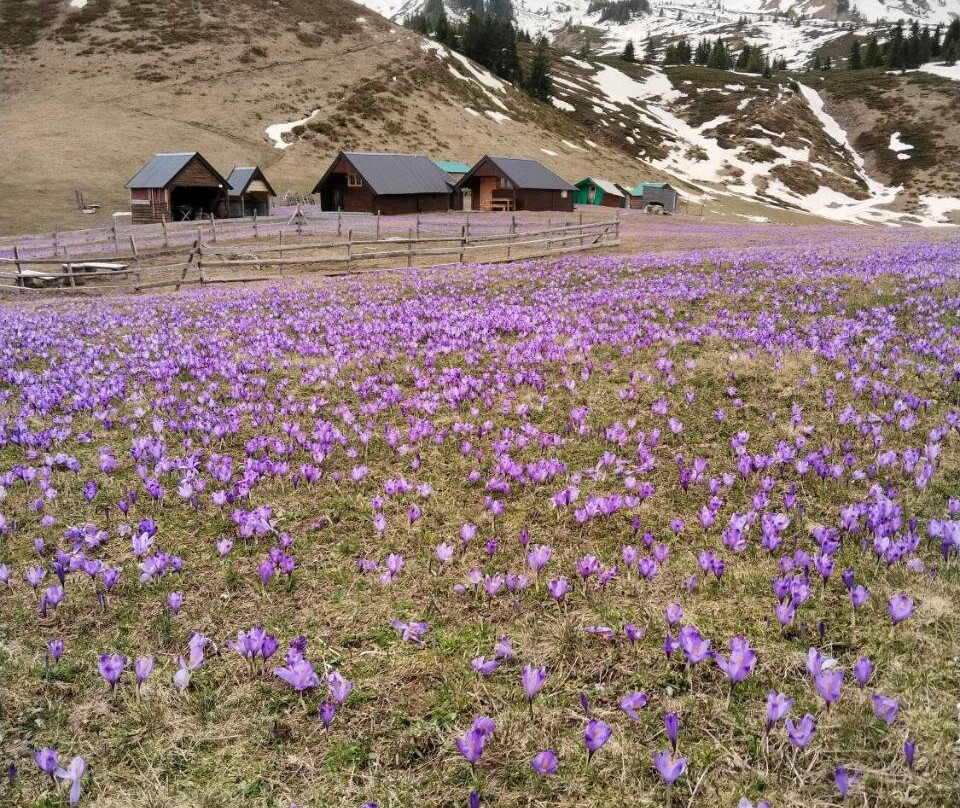 Rakovic Katun - Biogradska Gora Accomodation