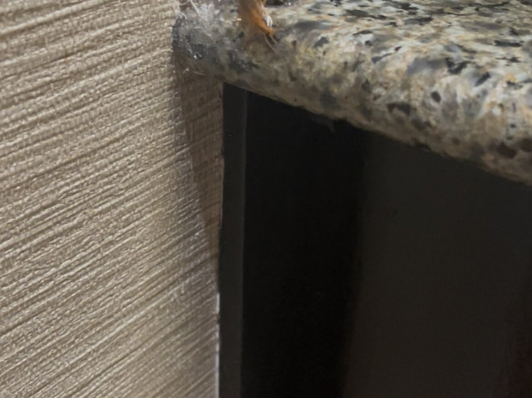 Comfort Suites at Rivergate Mall主图