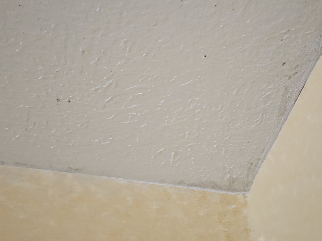 Juniper Hill Inn主图