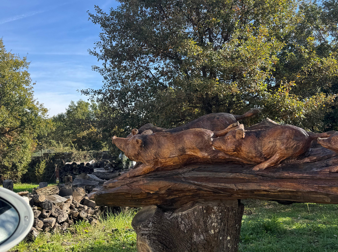 法特利切利酒店主图