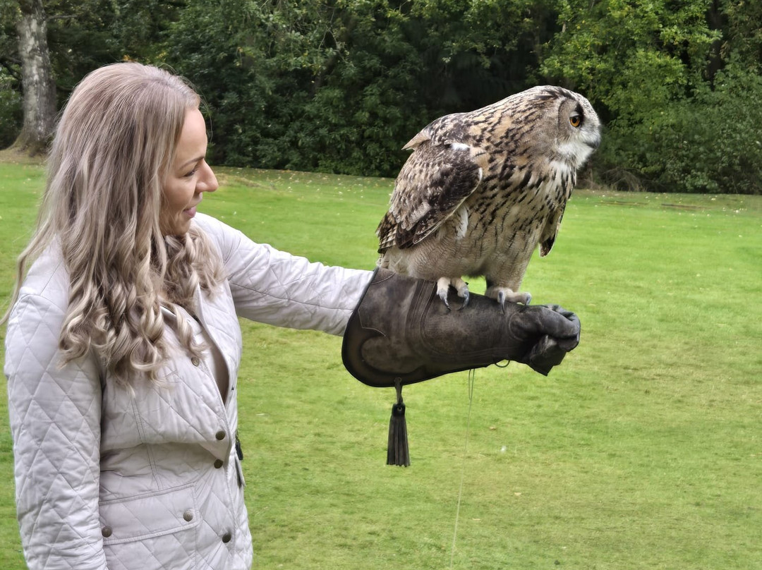 Dalhousie Castle Falconry-邦尼里格必去景点