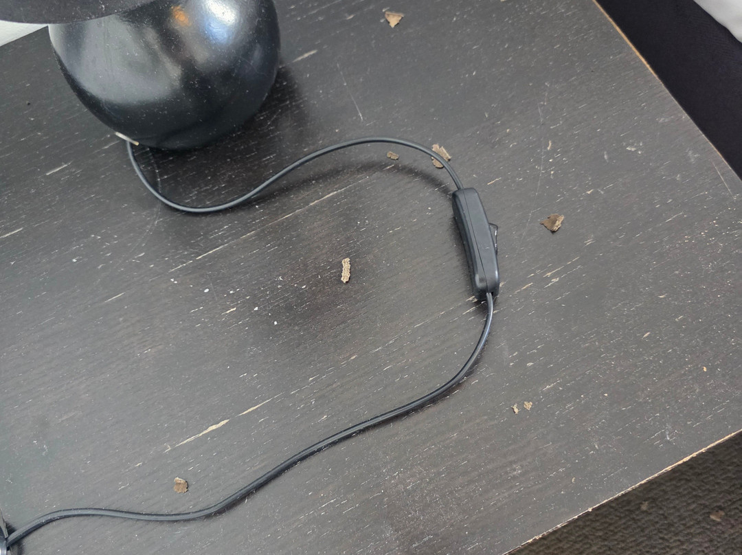 Adelaide Pulteney Motel主图