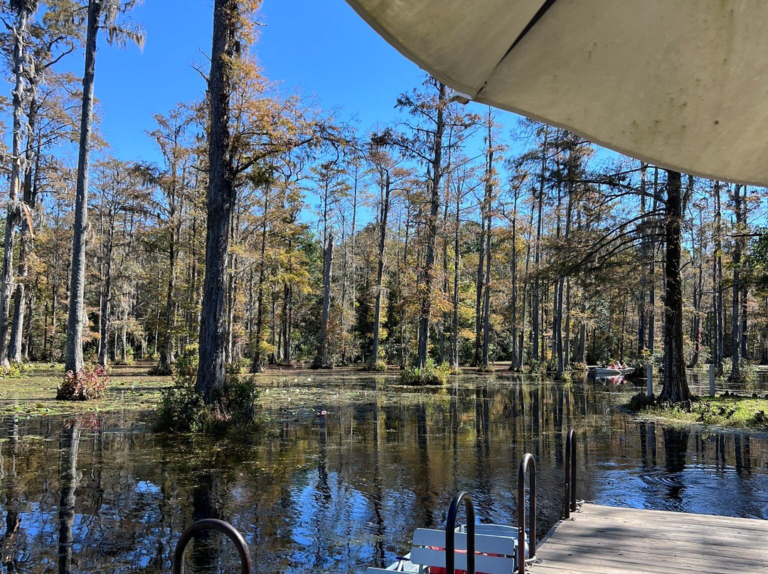 Cypress Gardens-蒙克斯科纳必去景点