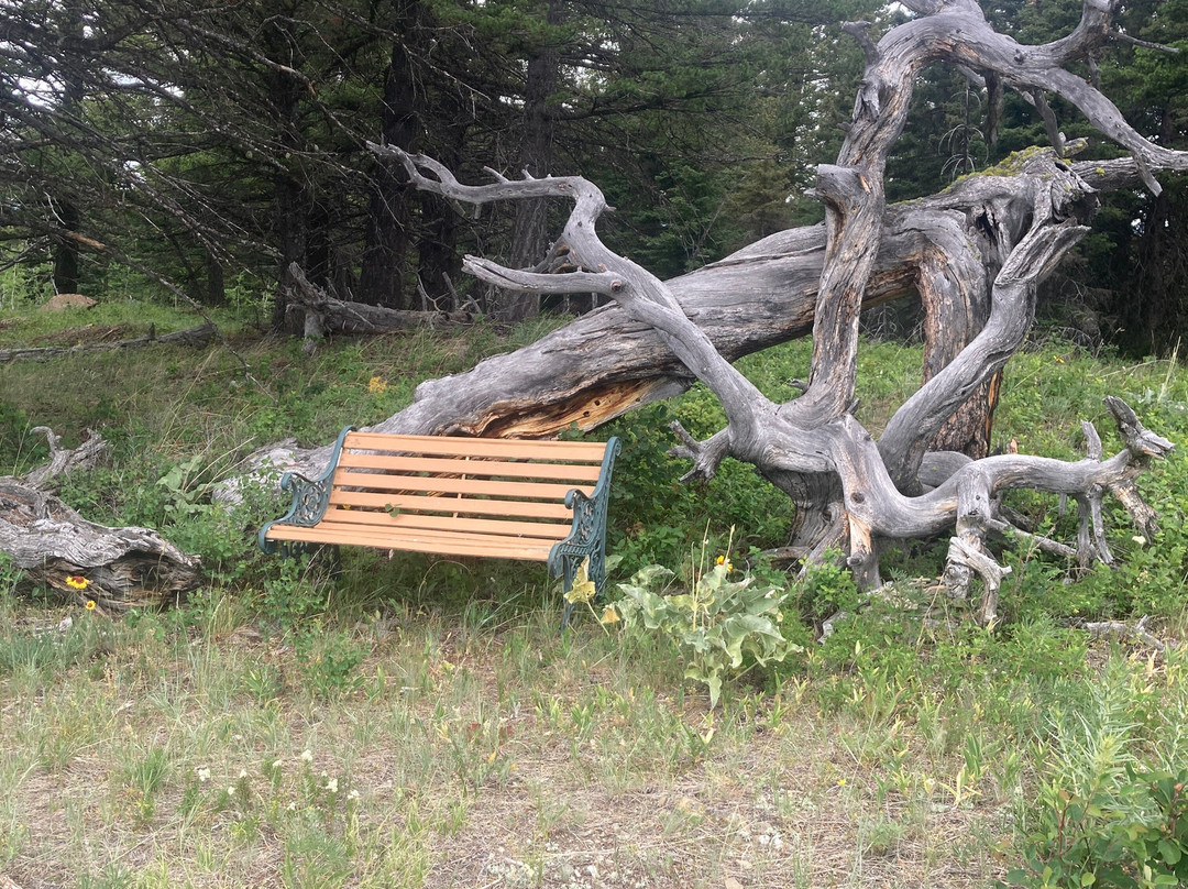 Beauvais Lake Provincial Park-平雀溪镇必去景点