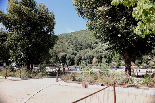 Place d'Austerlitz-阿雅克肖必去景点