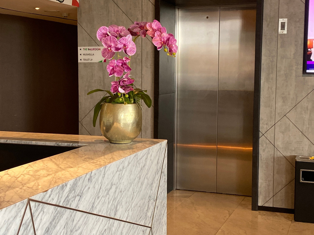 The Zuri Dumai主图