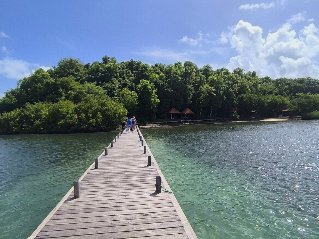 Catamaran Bwa Drese-Le Robert必去景点