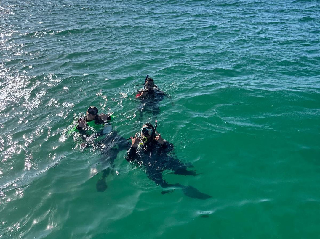 Keys Huka Dive-Nokomis必去景点