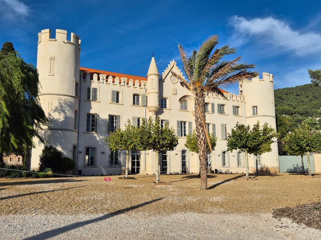 Dégustation Vignes Et Patrimoine