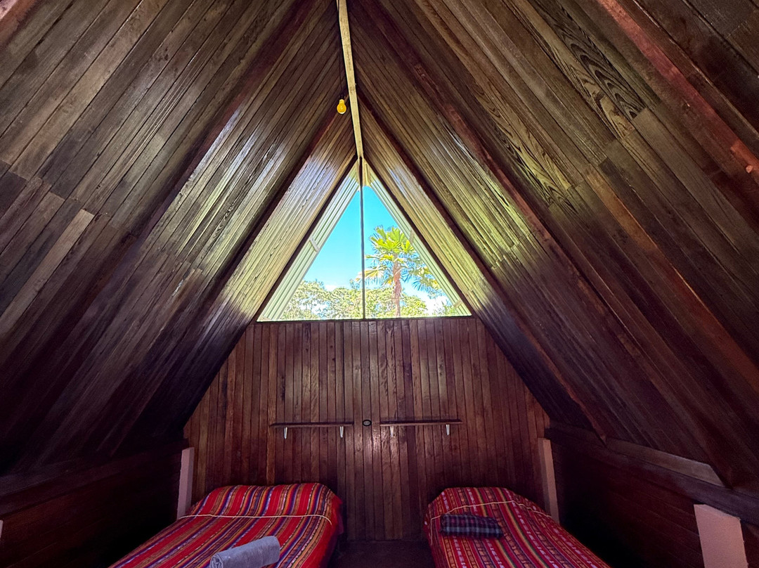 Amayas Ayahuasca Ecuador-Cotundo必去景点