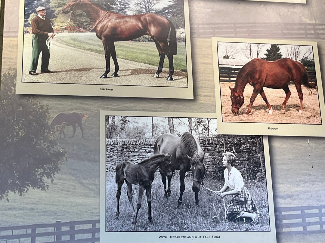 Mill Ridge Farm-列克星敦必去景点